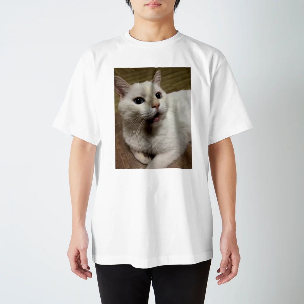 そらにも出来る保護猫支援のおうちにおいで勝手に応援団公式グッズ スタンダードTシャツ