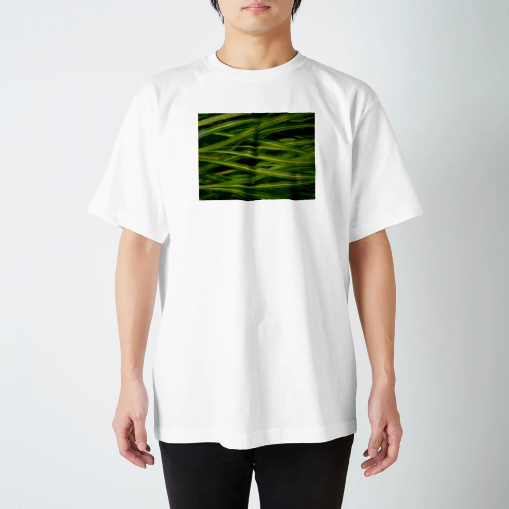 餅in a tankの水草:ぽたもげとん スタンダードTシャツ