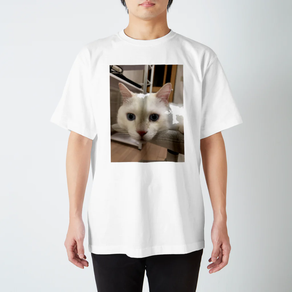 そらにも出来る保護猫支援のメイヨかいちょうそら スタンダードTシャツ