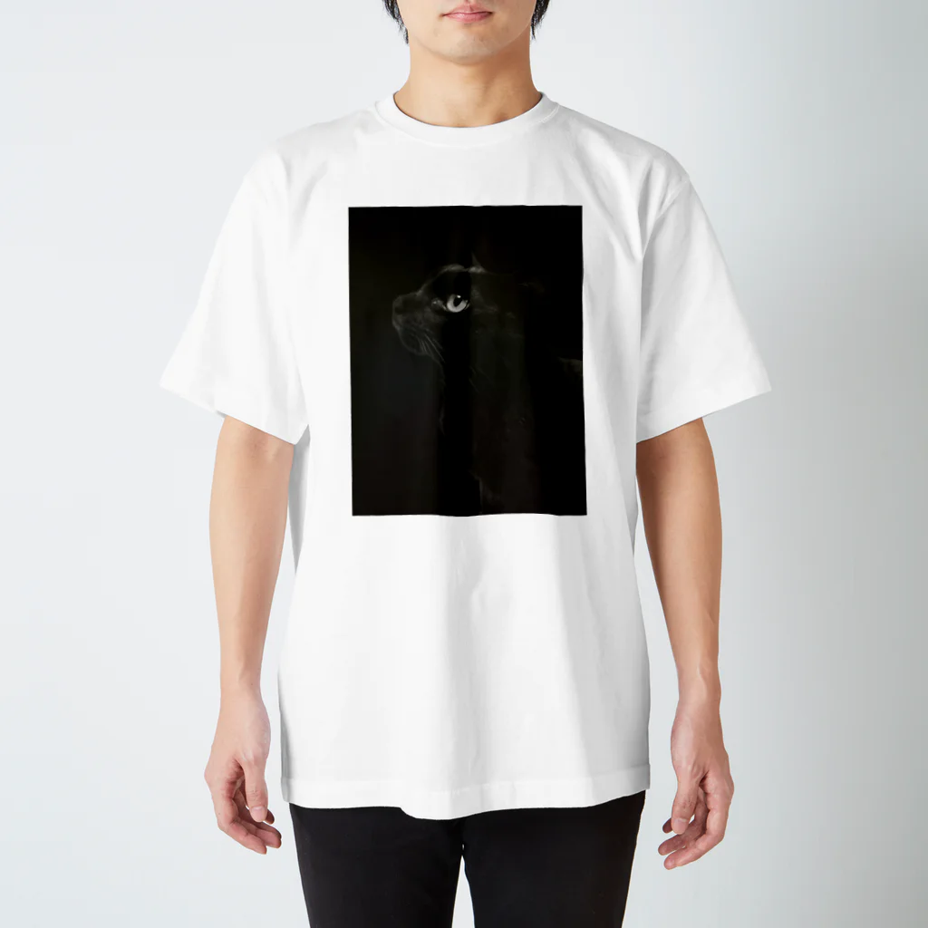 akitadaijinのかっこいい横顔 Regular Fit T-Shirt