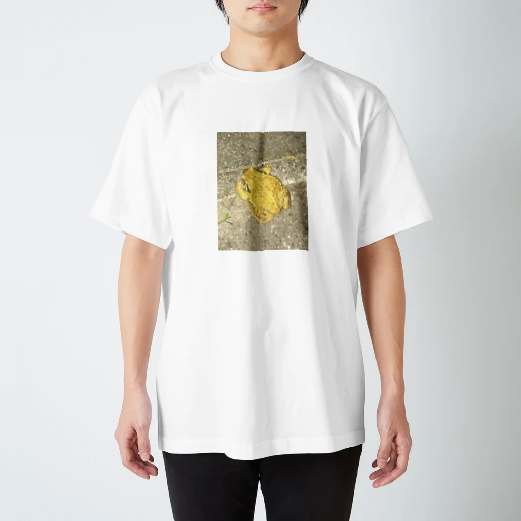 (suzuri)のゲコ Regular Fit T-Shirt