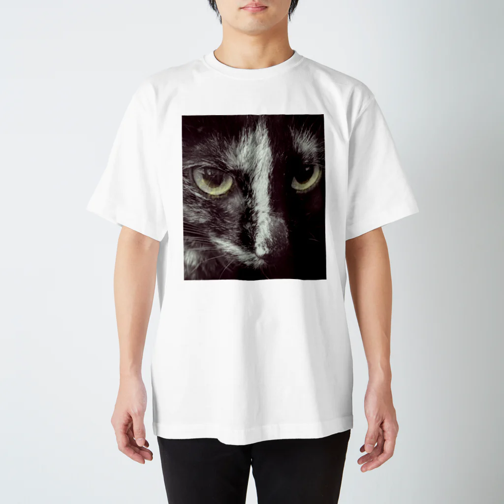 akitadaijinのサビ猫シータ Regular Fit T-Shirt