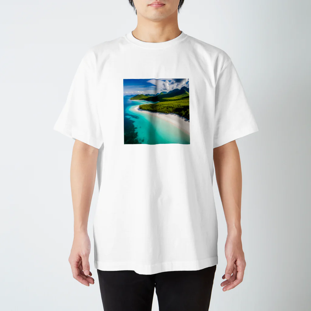DapperMixの空からの楽園、透明な海グッズ スタンダードTシャツ
