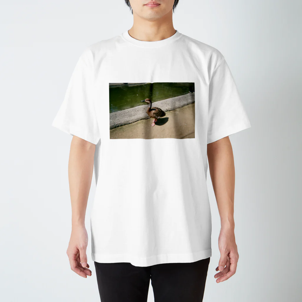 ハラコウサクの八木山動物園の鴨 スタンダードTシャツ