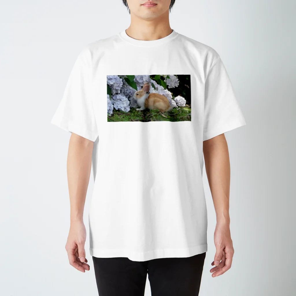 rabbit-islandの紫陽花と子ウサギ スタンダードTシャツ