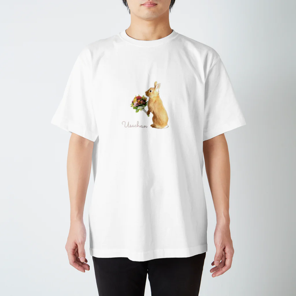 うさぎのうさちゃんのうさぎのうさちゃん スタンダードTシャツ