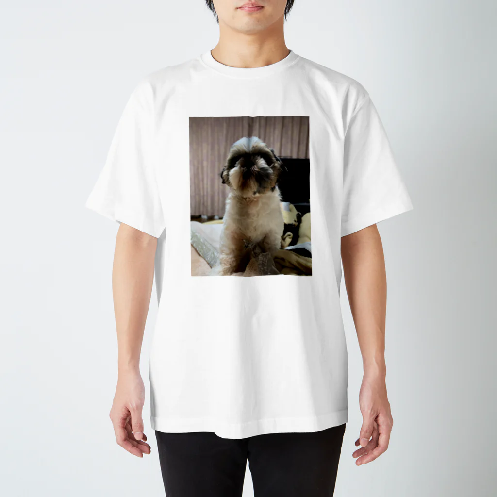 bhrm8888の愛犬シーズ スタンダードTシャツ