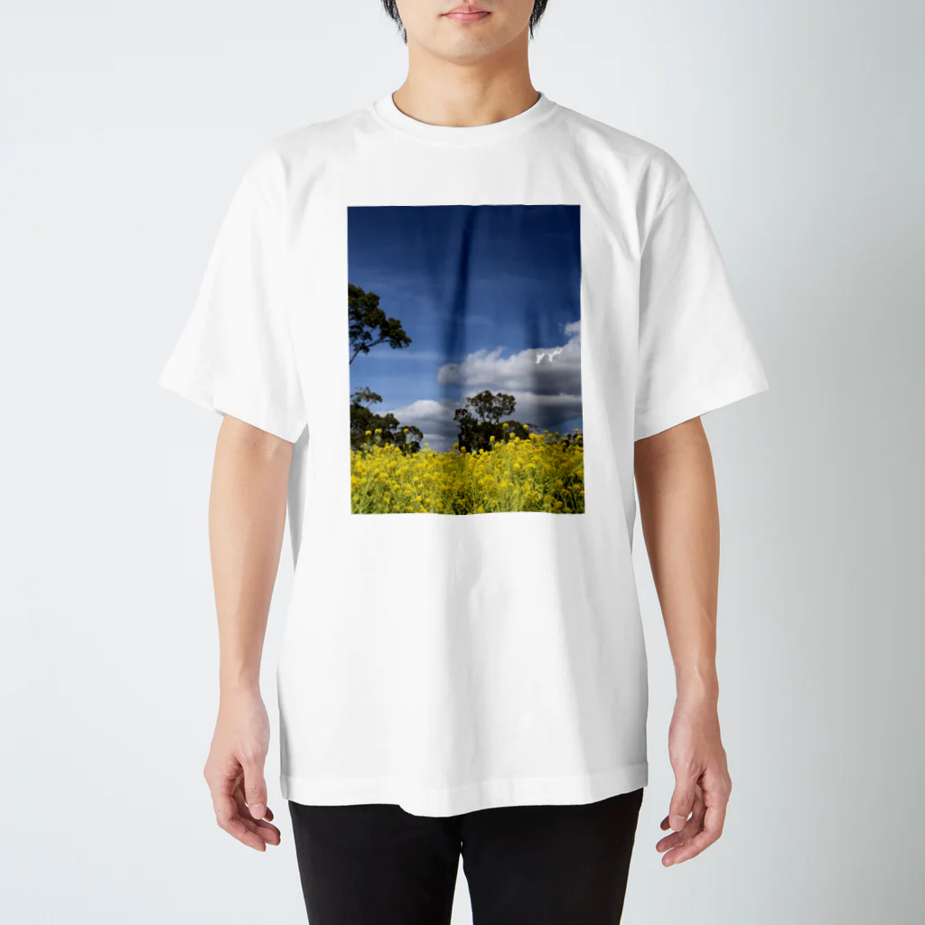 りえこの菜の花畑 スタンダードTシャツ