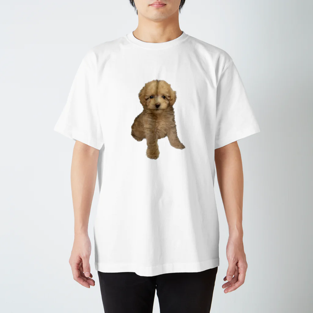 ちっちゃいものクラブのトイプードルのはっさくくん スタンダードTシャツ