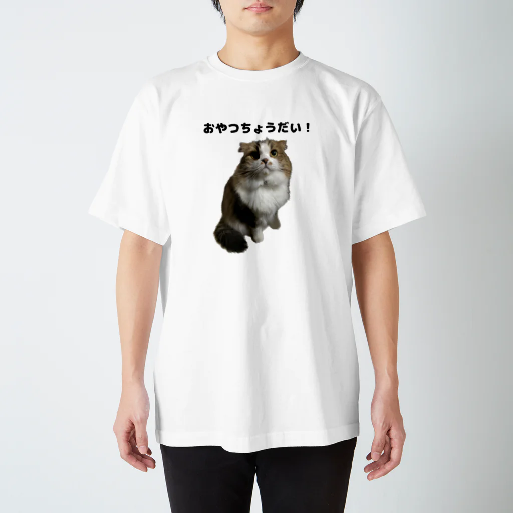 aaapiyoのおやつが欲しいしおんくん スタンダードTシャツ