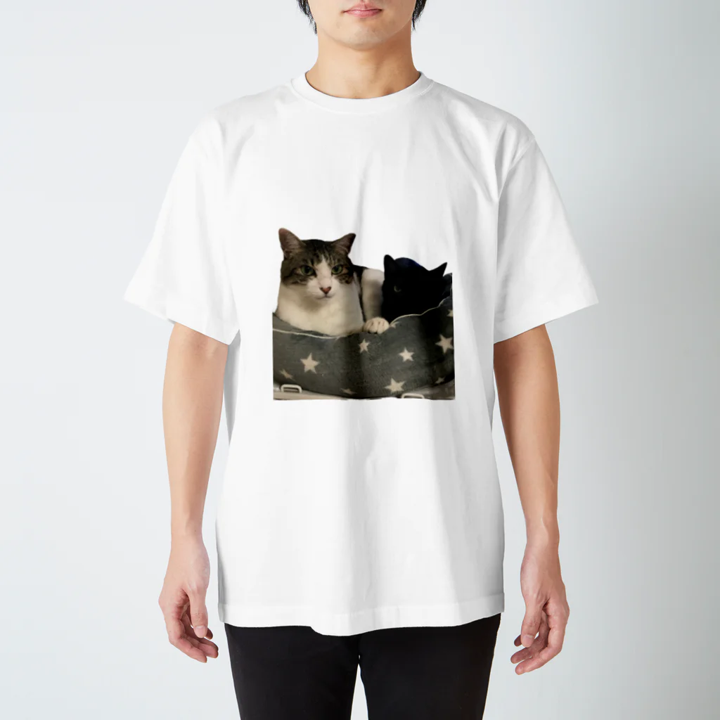 休職中のひとみちゃん家の猫様 Regular Fit T-Shirt