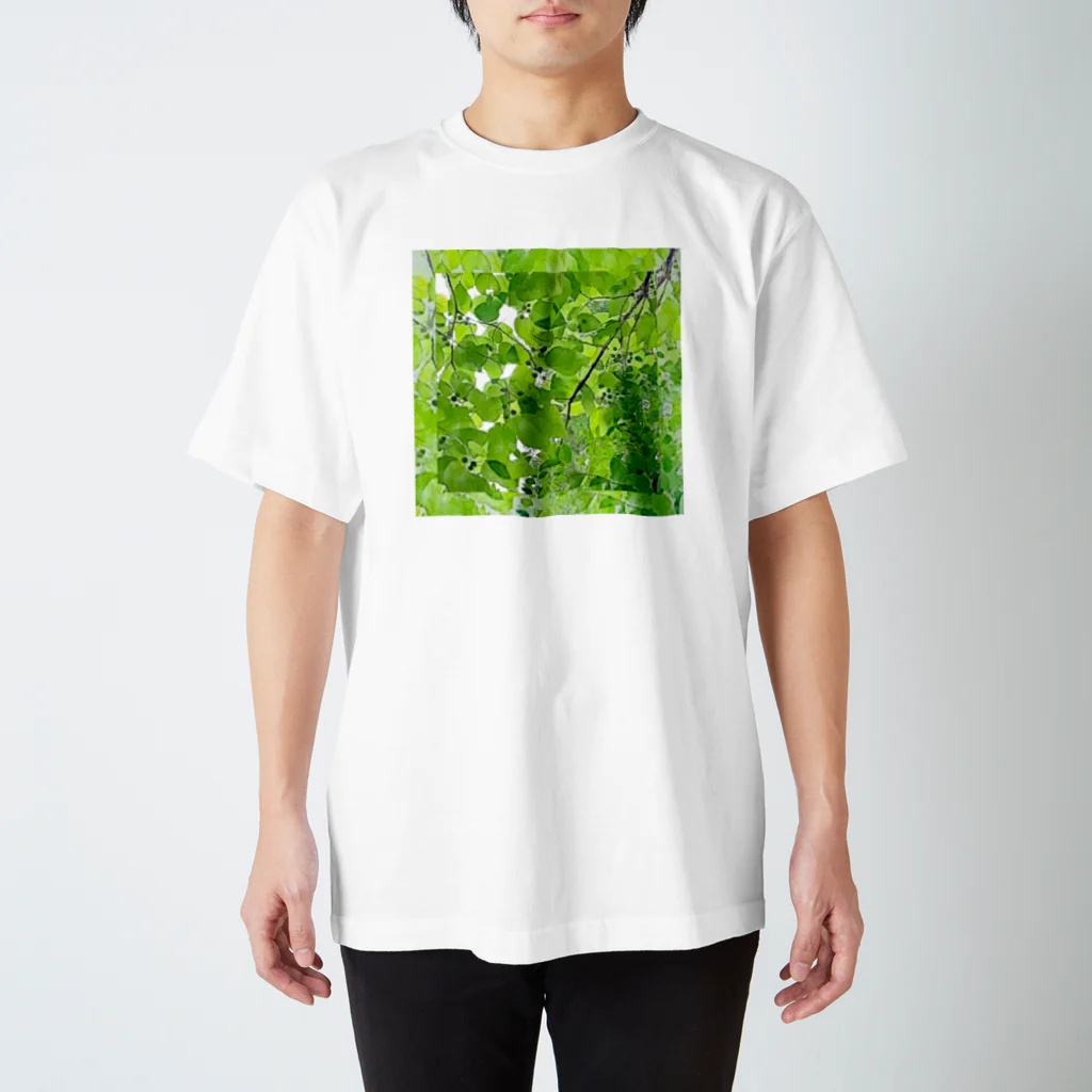 Hanamusubi001の森のエメラルド スタンダードTシャツ