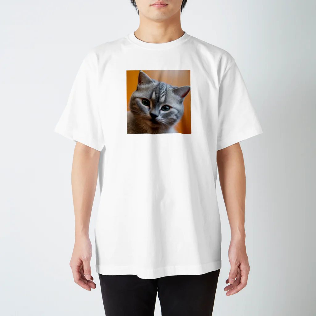 フリーダムの見つめる猫 スタンダードTシャツ