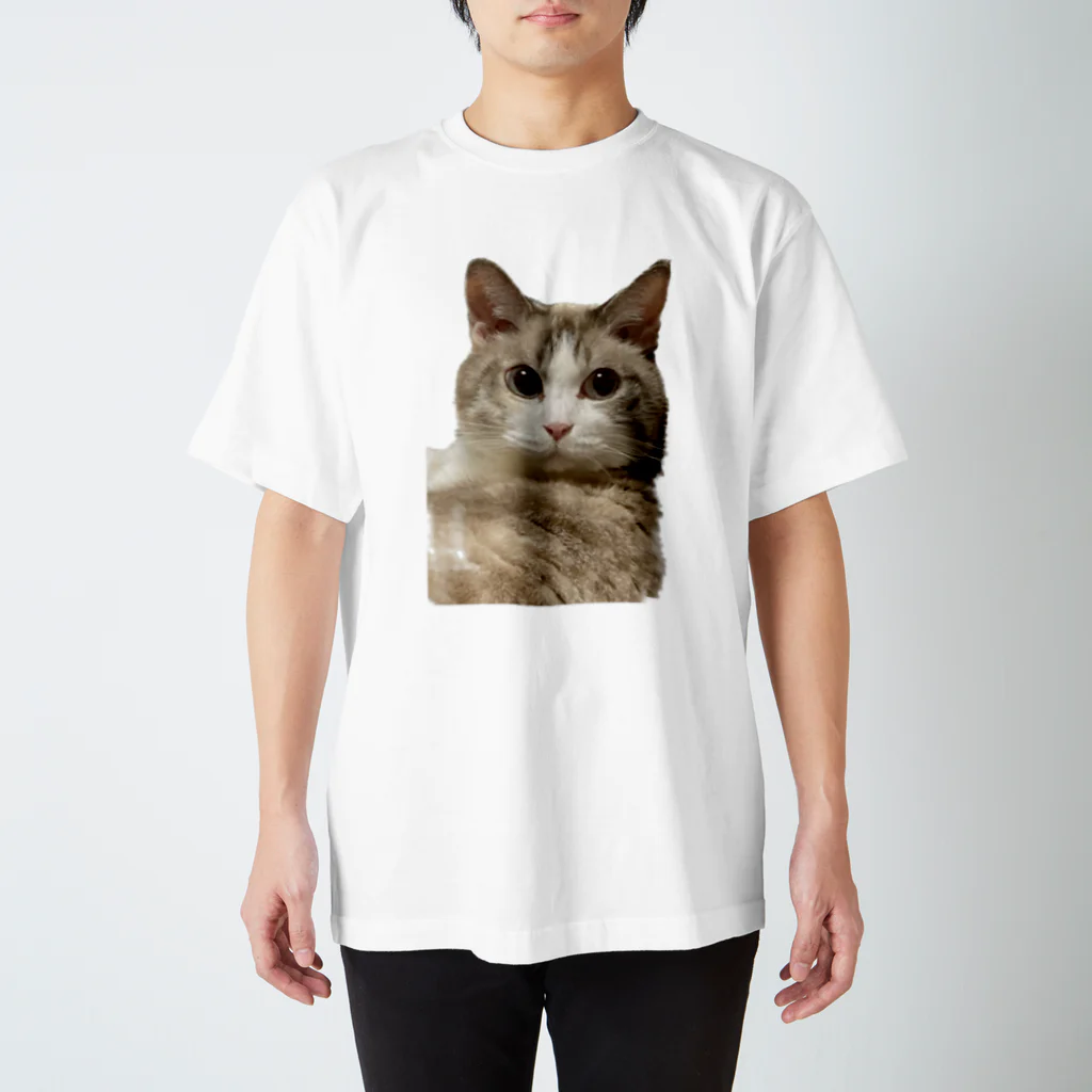 ジョリーマンダリンのCute cat. スタンダードTシャツ