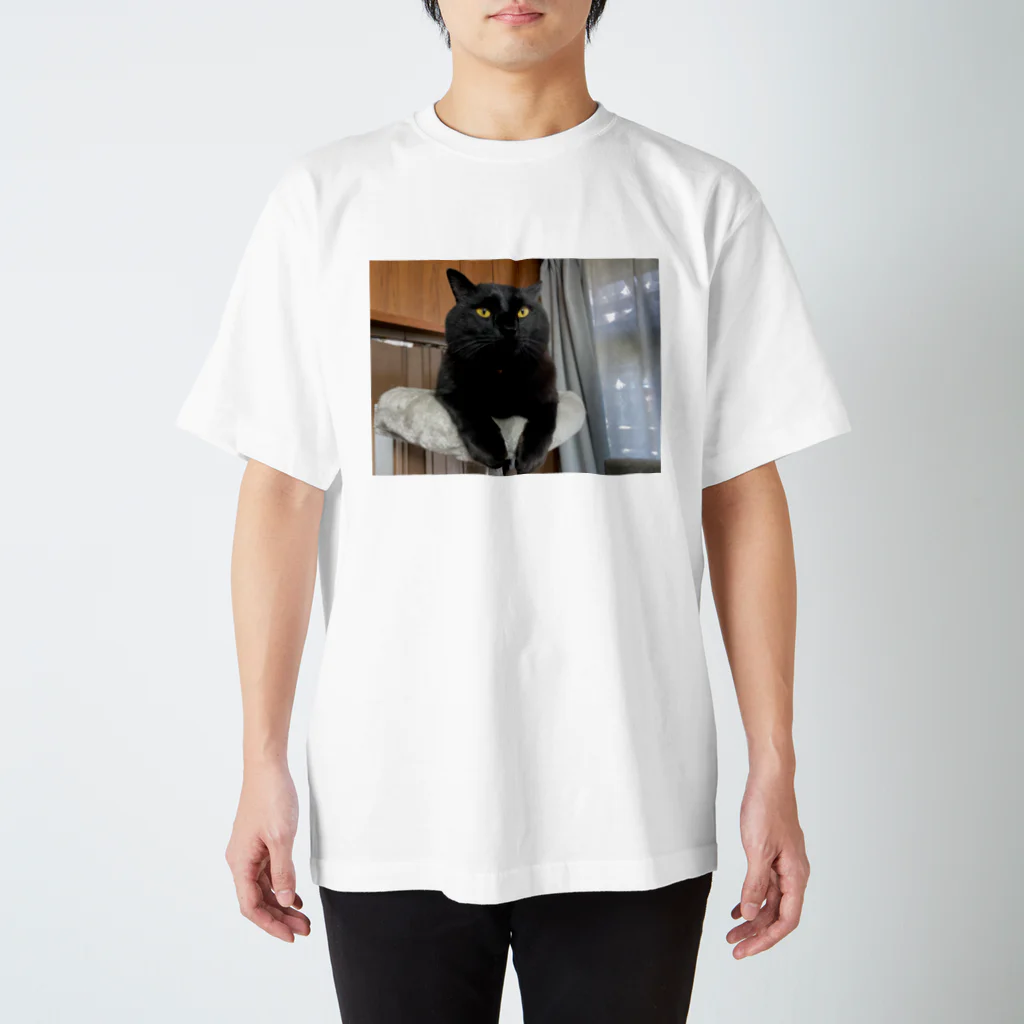 yottin59617の迷い黒猫キキ スタンダードTシャツ