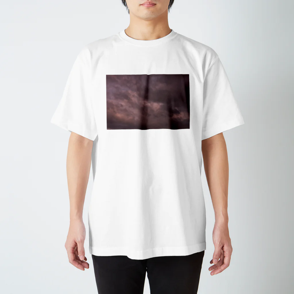 330photogalleries 公式オンラインショップのファインアート　2023 Regular Fit T-Shirt
