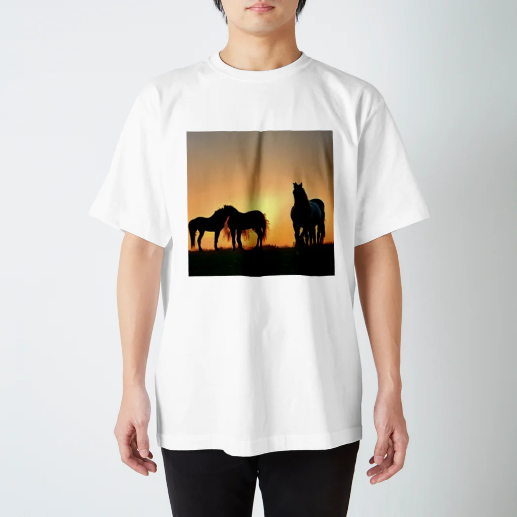 宇宙開発デザイン科の夕陽の中の馬 スタンダードTシャツ