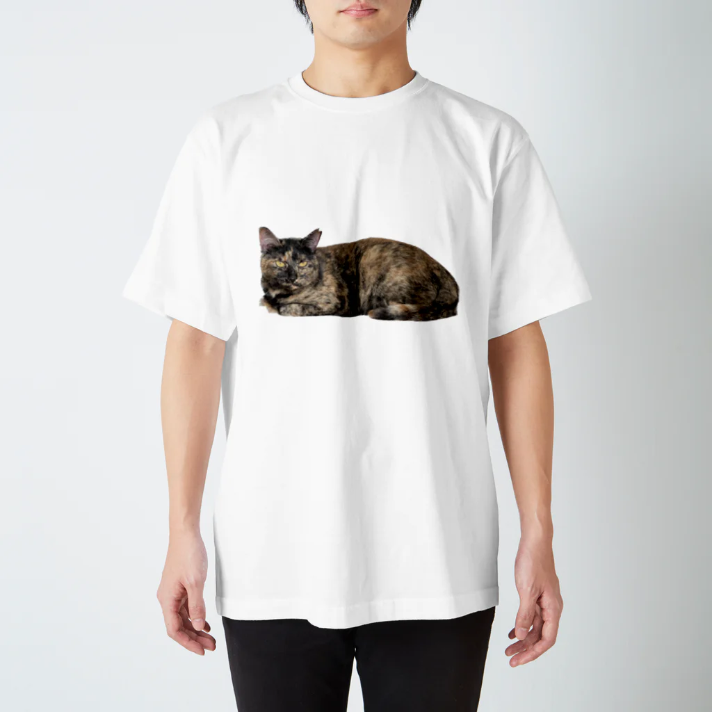 燕麦のﾑｽｯ Regular Fit T-Shirt