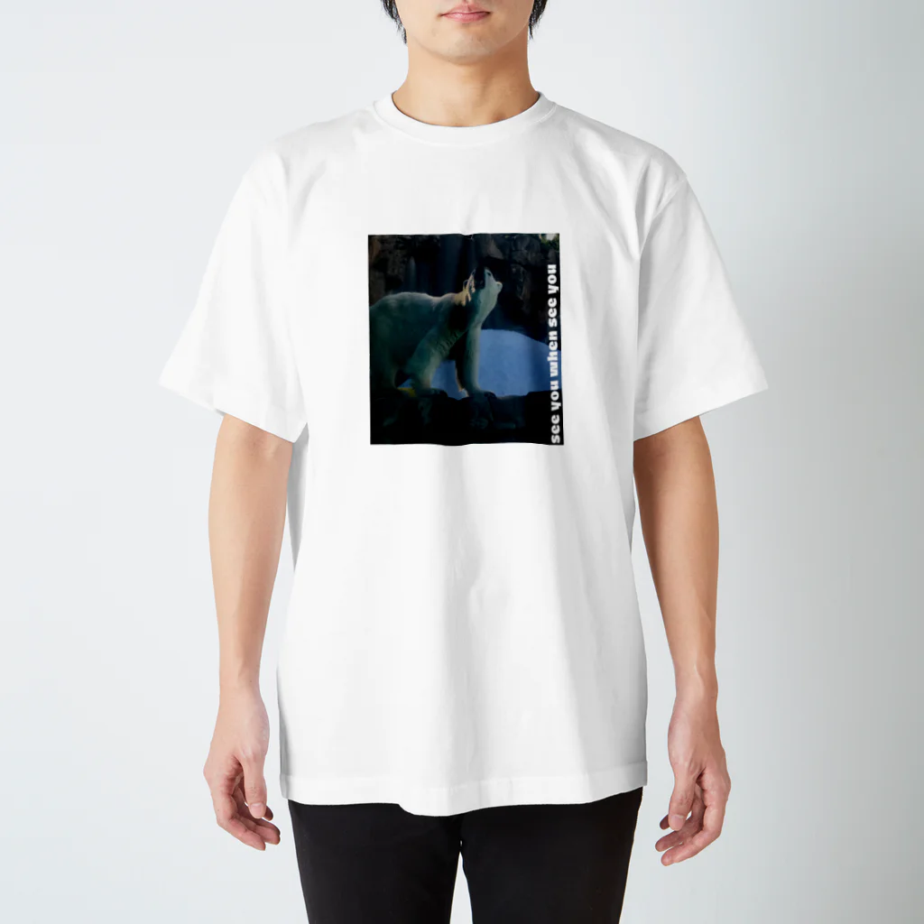 ZAKI_3のsee you when see you スタンダードTシャツ