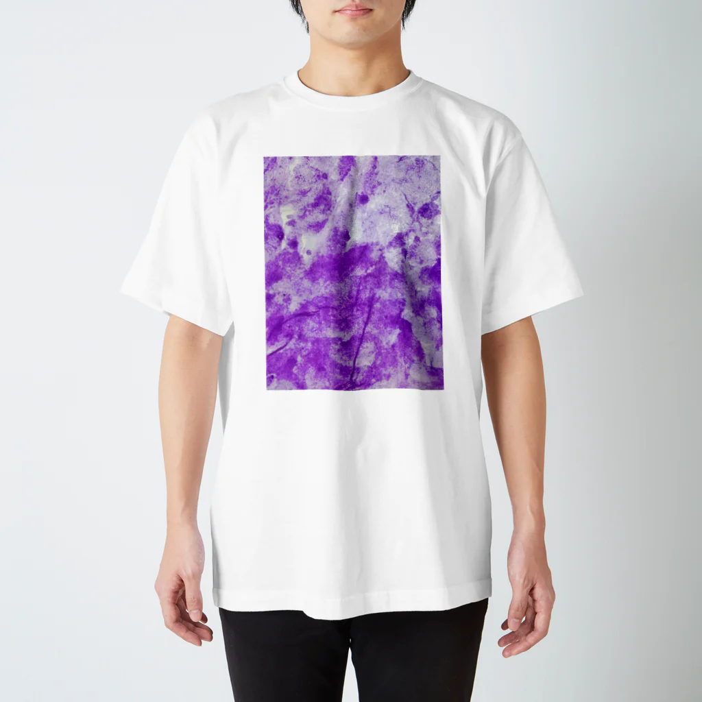 あのころの紫蝶 Regular Fit T-Shirt