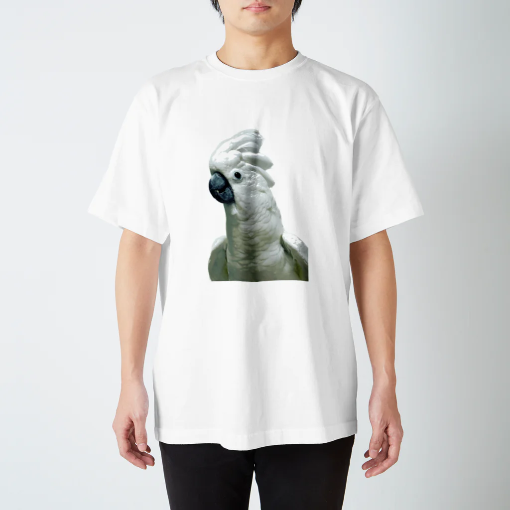 and_parrotのオウムのタイハクオウム　鳥 スタンダードTシャツ