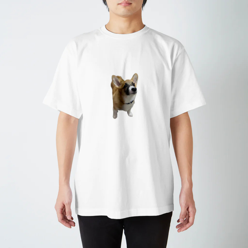 ねこねこのコーギー実写 Regular Fit T-Shirt