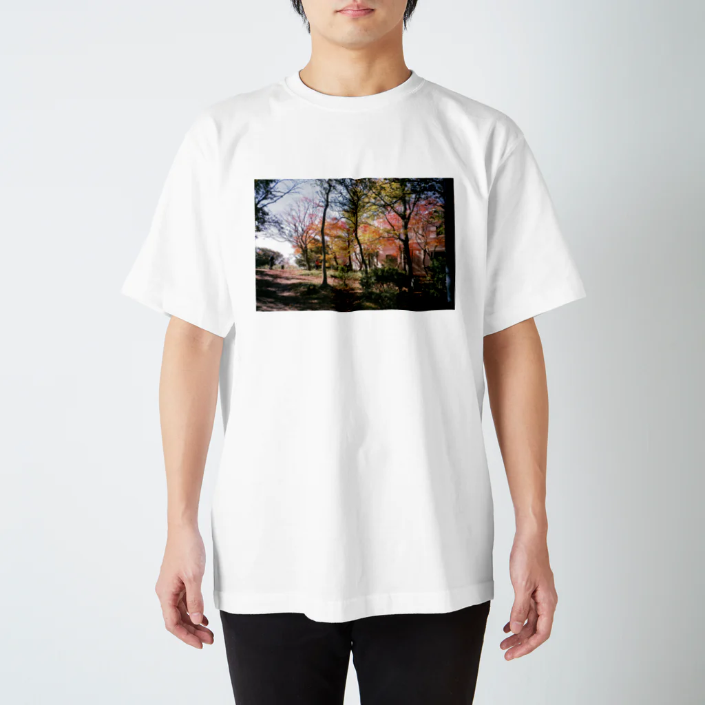 おゆの屋島の紅葉 Regular Fit T-Shirt