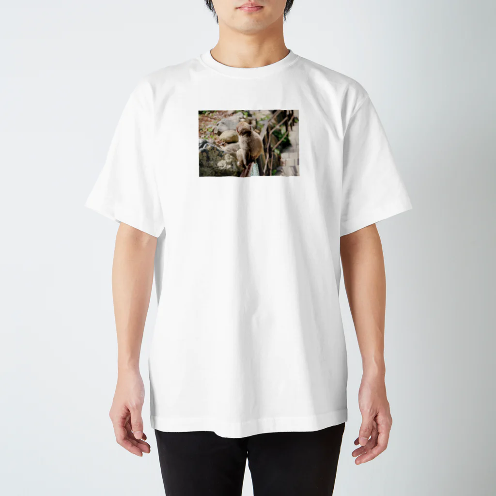 kasumiroのSnow monkey3 スタンダードTシャツ