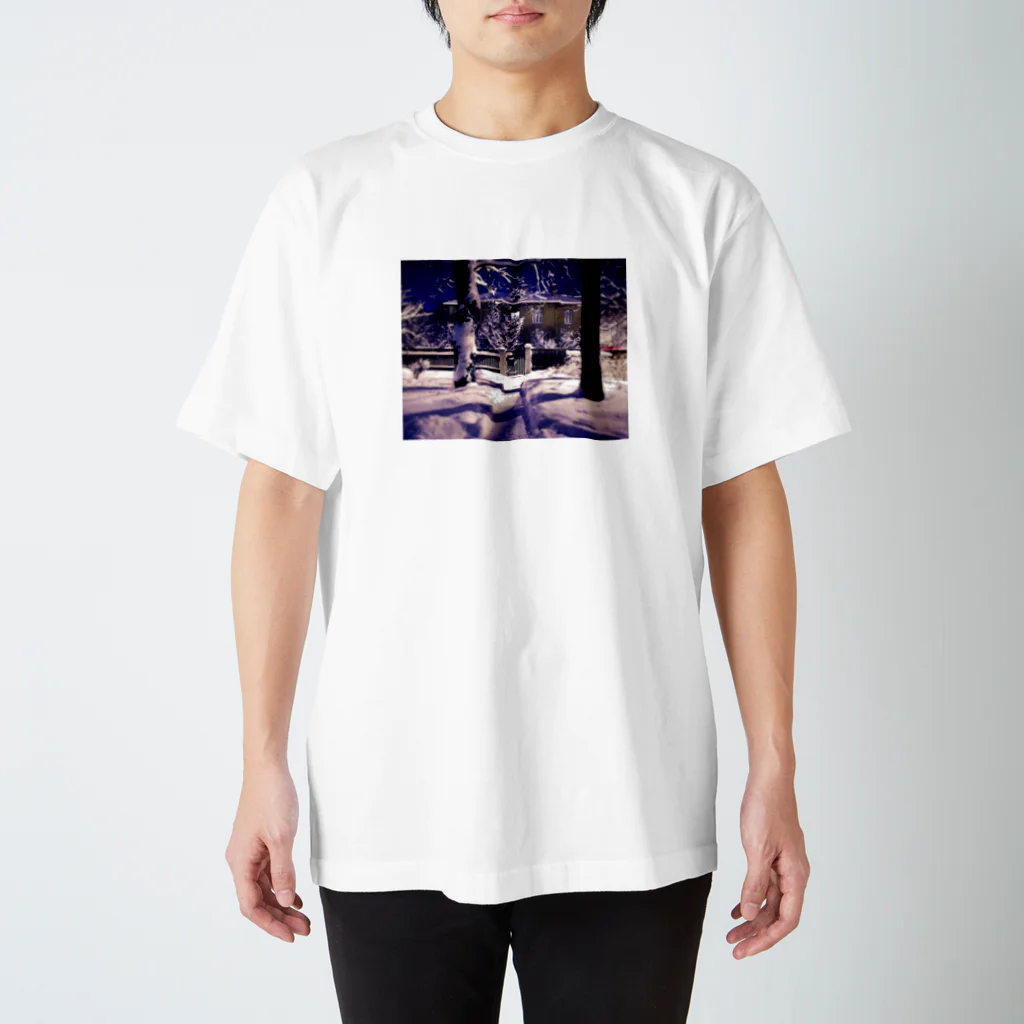C_G_Yungの雪景色 スタンダードTシャツ