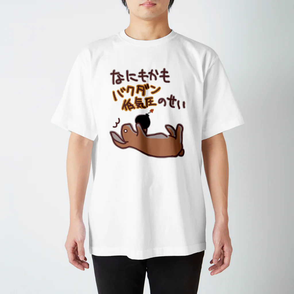 ミナミコアリクイ【のの】の爆弾低気圧！【うさぎ】 スタンダードTシャツ