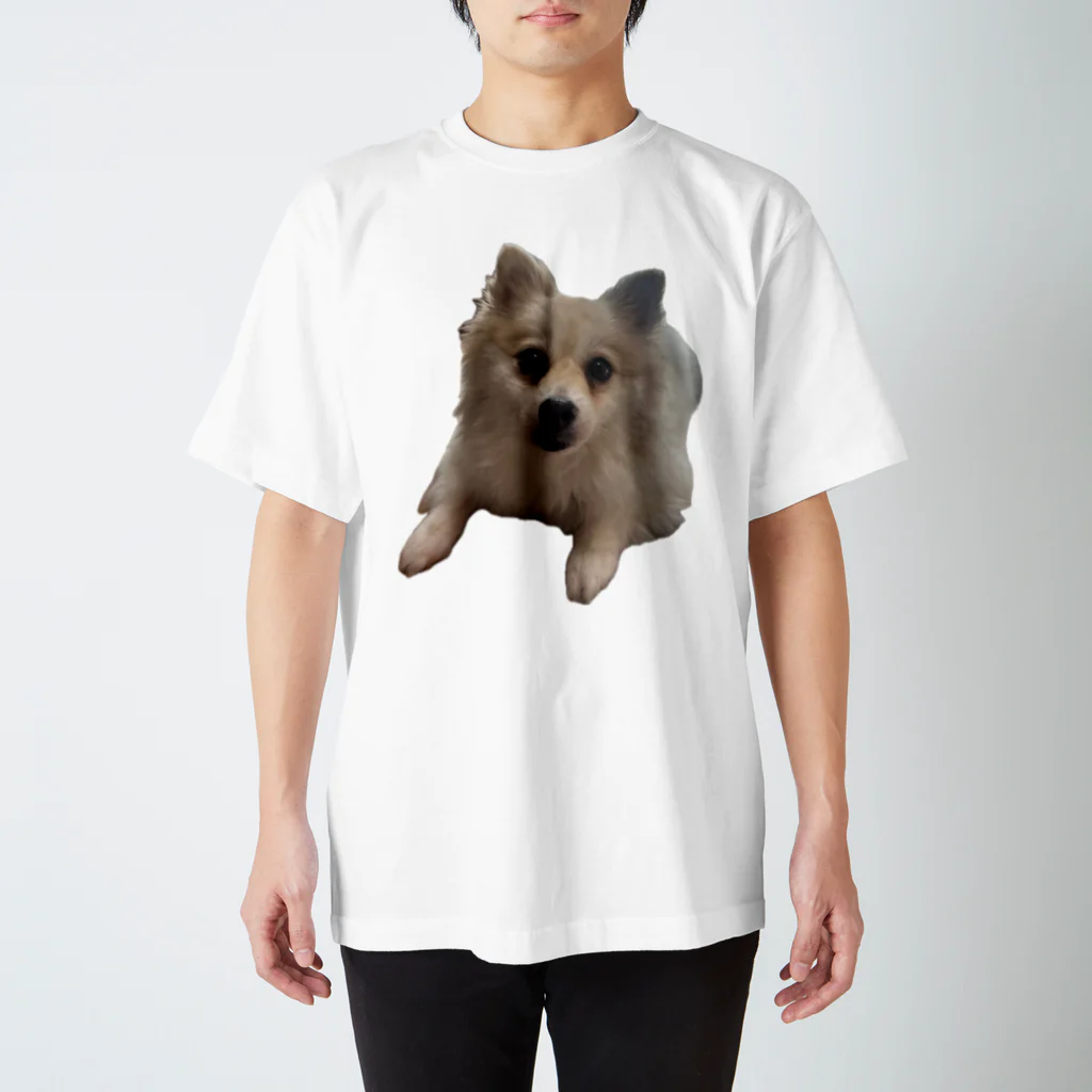 DACHSHUNDenpのツムツムT2 スタンダードTシャツ