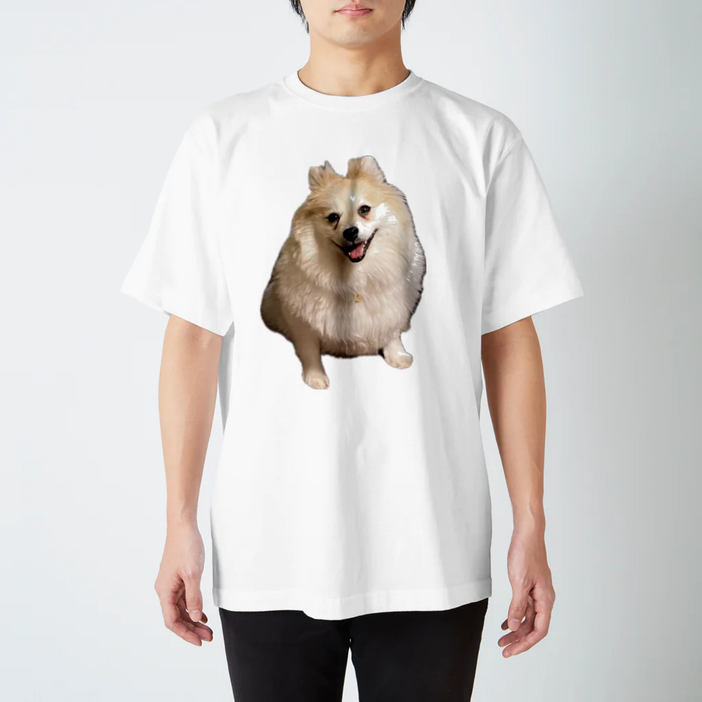 DACHSHUNDenpのツムツムT3 Regular Fit T-Shirt