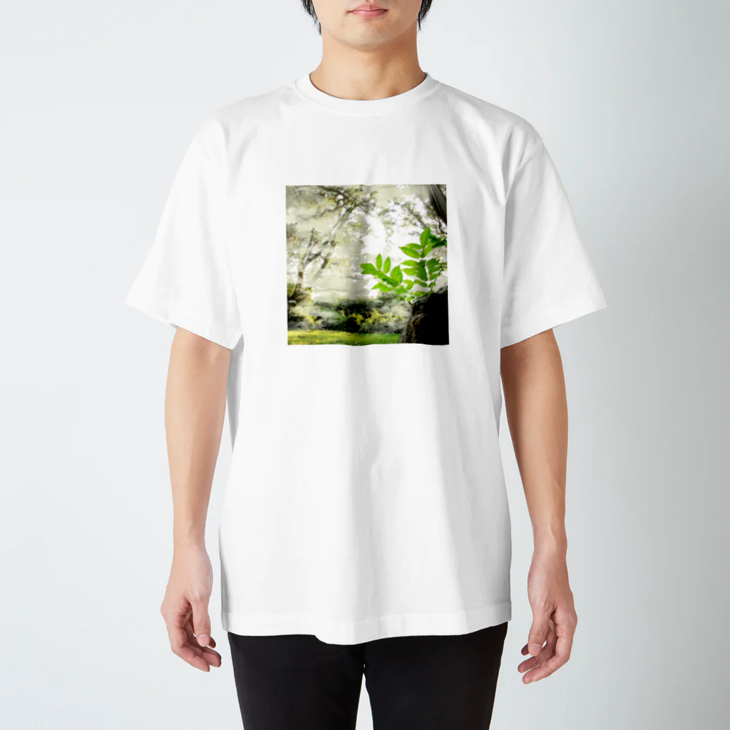 C_G_Yungのforest Regular Fit T-Shirt