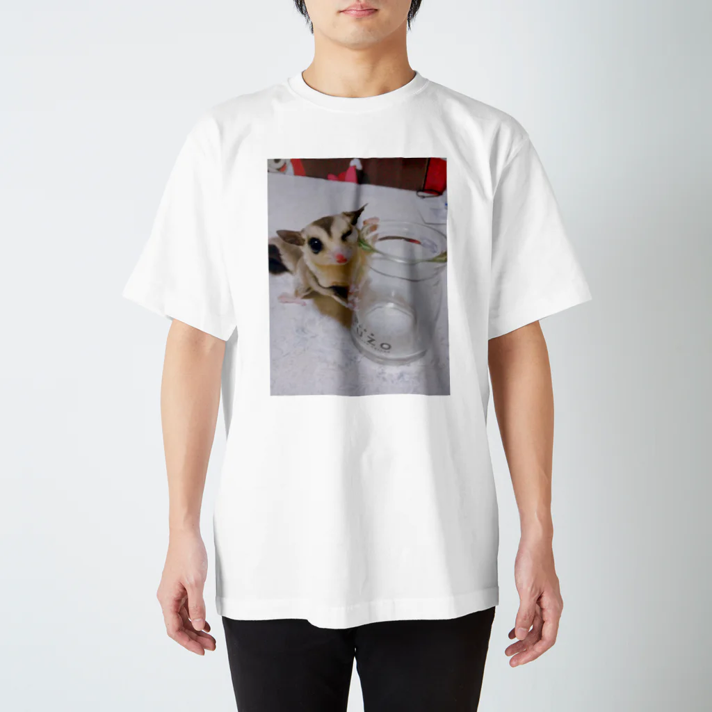 aoichi  for xxのろろろ2 Regular Fit T-Shirt