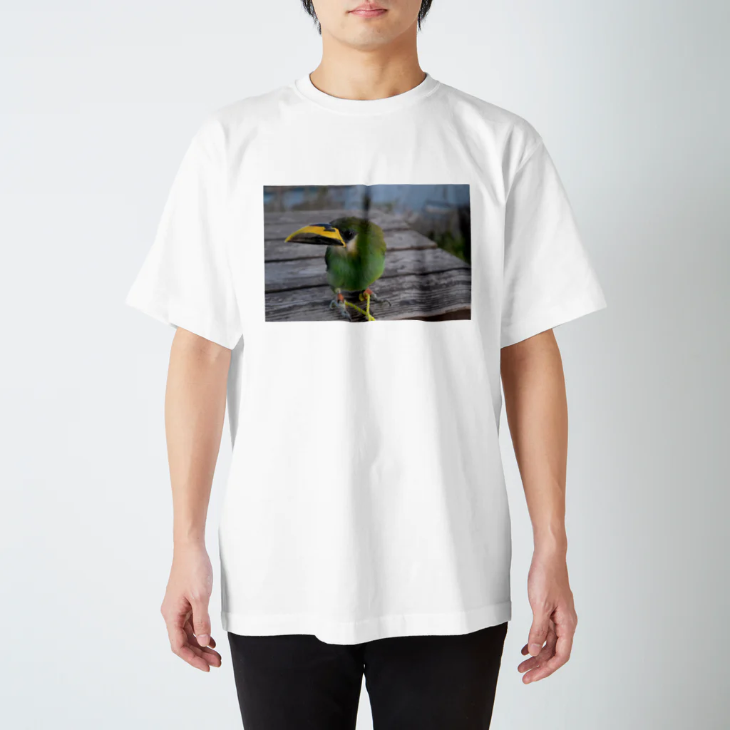 Yu1192のグリーンバード Regular Fit T-Shirt