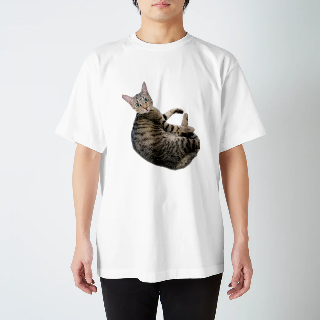 Emma y Linusのエマ　キジトラ　猫 スタンダードTシャツ