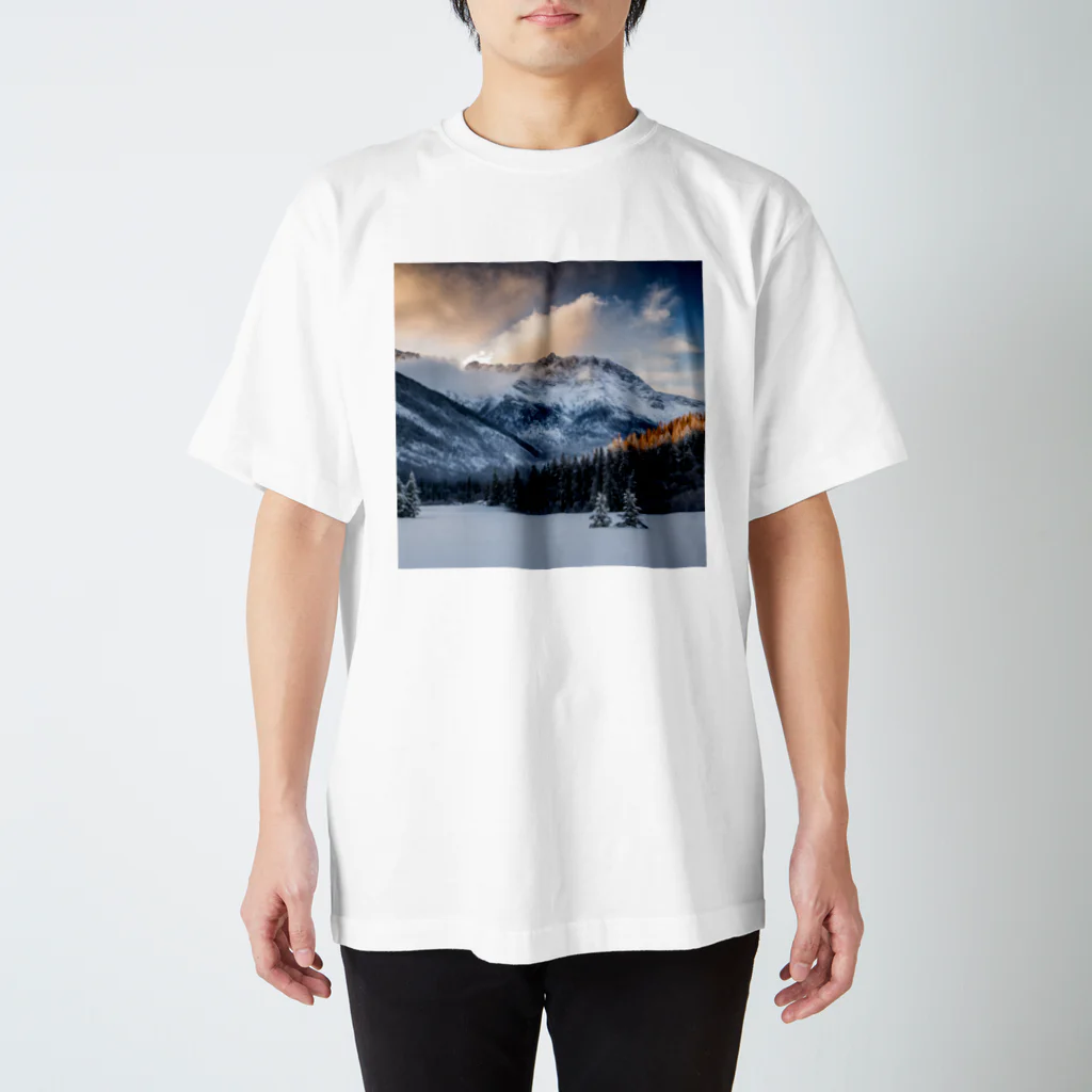 ssaiy10の美しい冬 Regular Fit T-Shirt