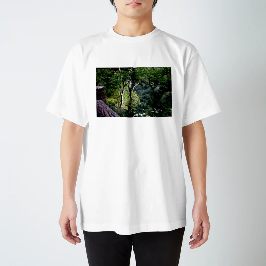 RyoY_ArtWorks_Galleryの傾斜に咲き誇る花 Regular Fit T-Shirt