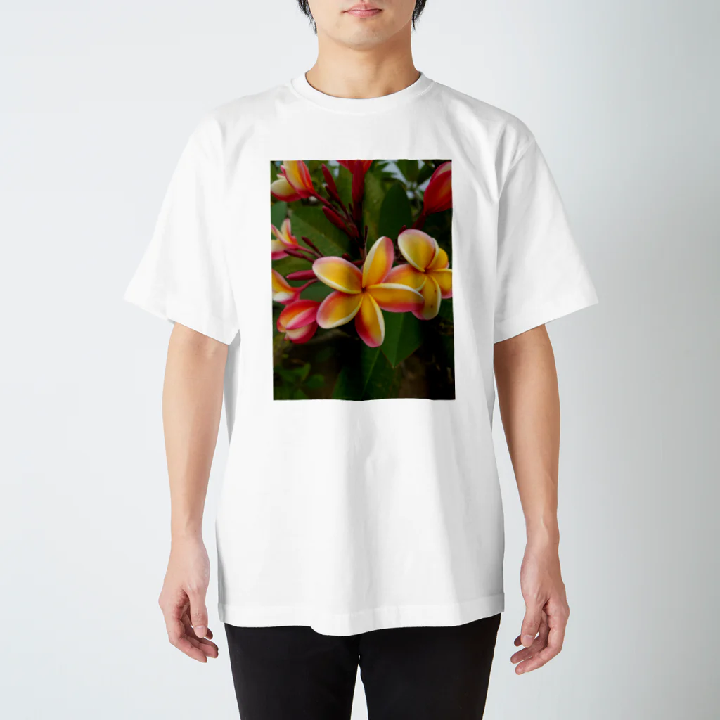 宮古島のキジムナーのプルメリア スタンダードTシャツ