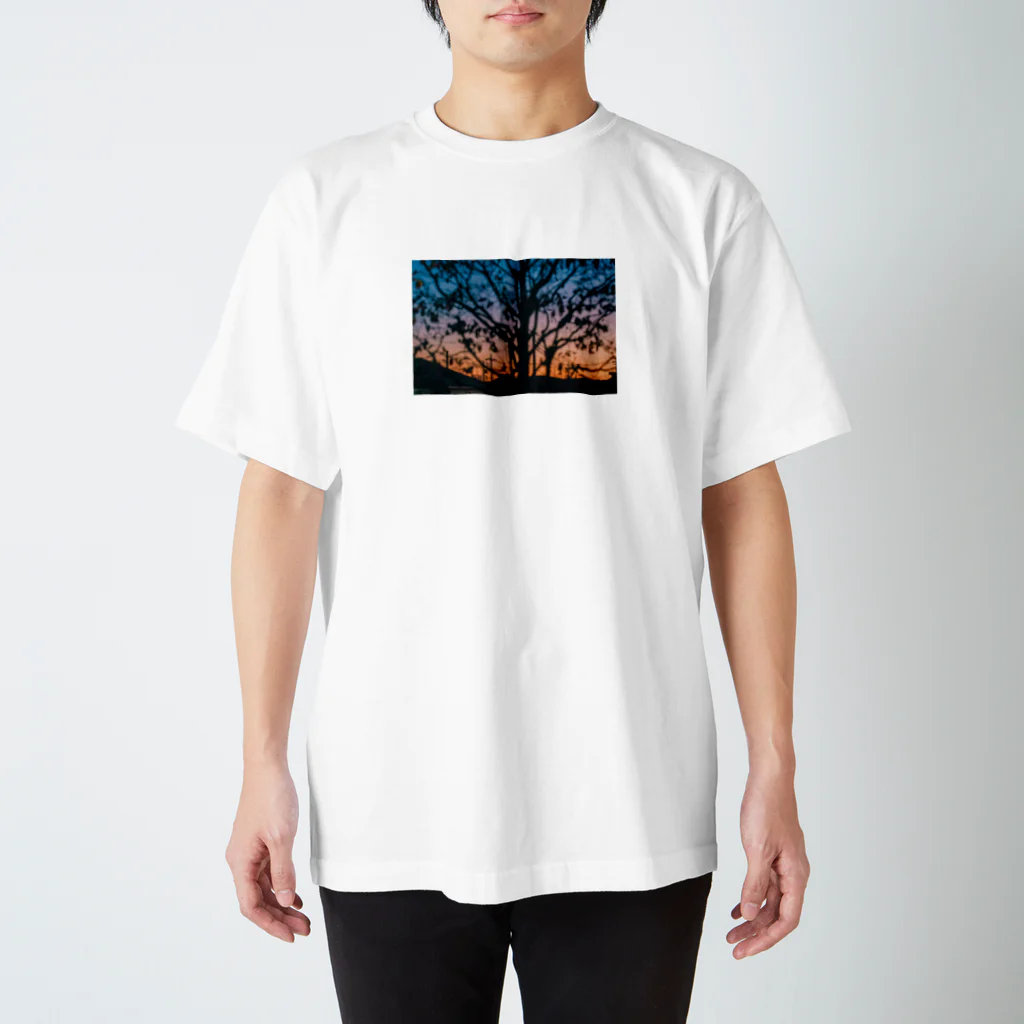 星のこどもたちの百日紅の夕景 Regular Fit T-Shirt