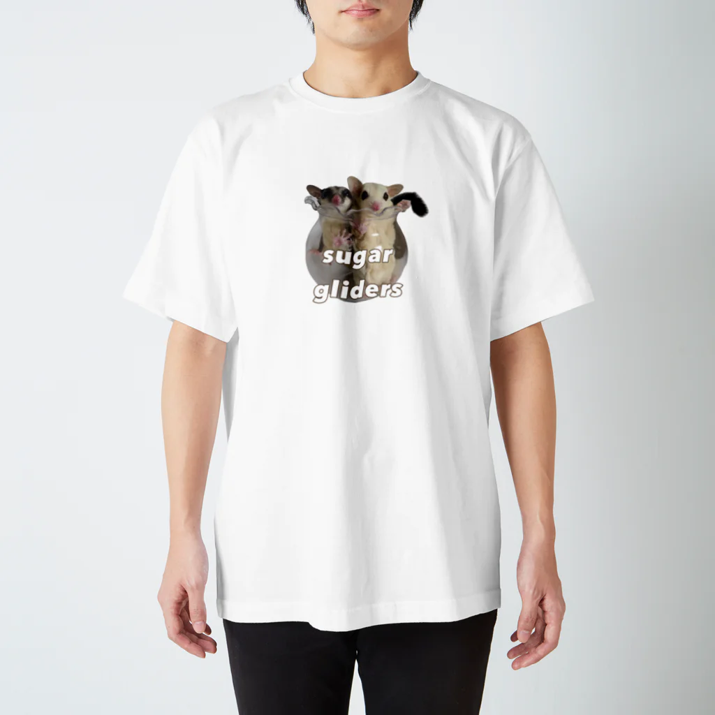 ころんと日和のフクロモモンガのここ＆める Regular Fit T-Shirt