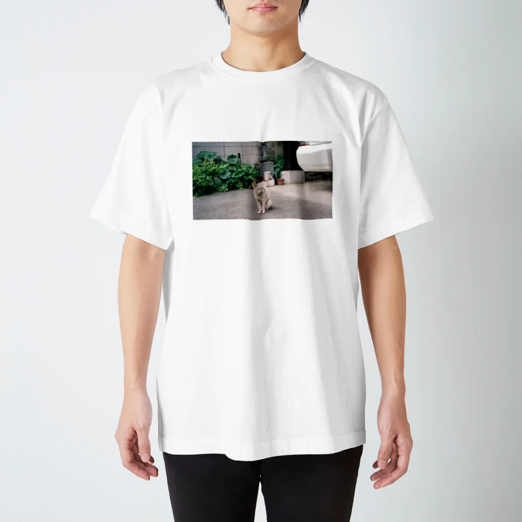 MIKIMOの近所のねこシリーズ Regular Fit T-Shirt