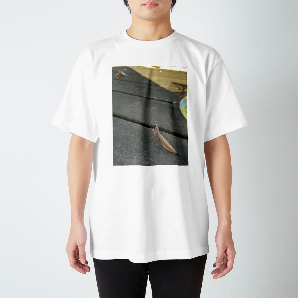 カナヘビのトカゲちゃんの11月のカマキリ Regular Fit T-Shirt