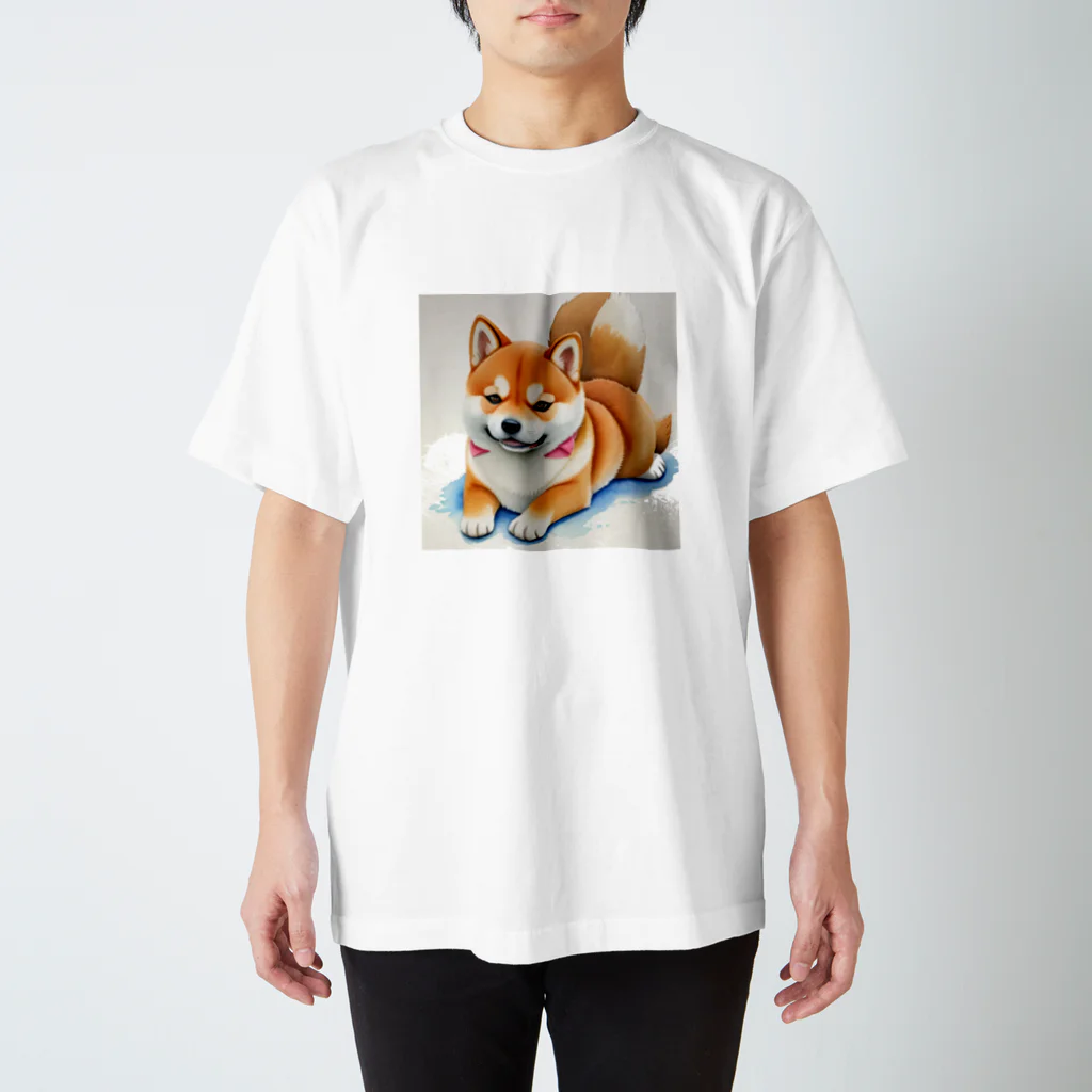 shIbaのシバの眼差し スタンダードTシャツ