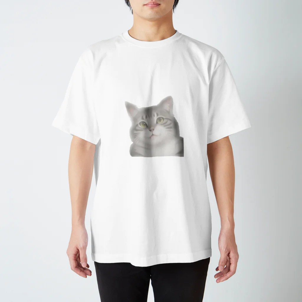 Tabby-catのふんわりとらねこ スタンダードTシャツ