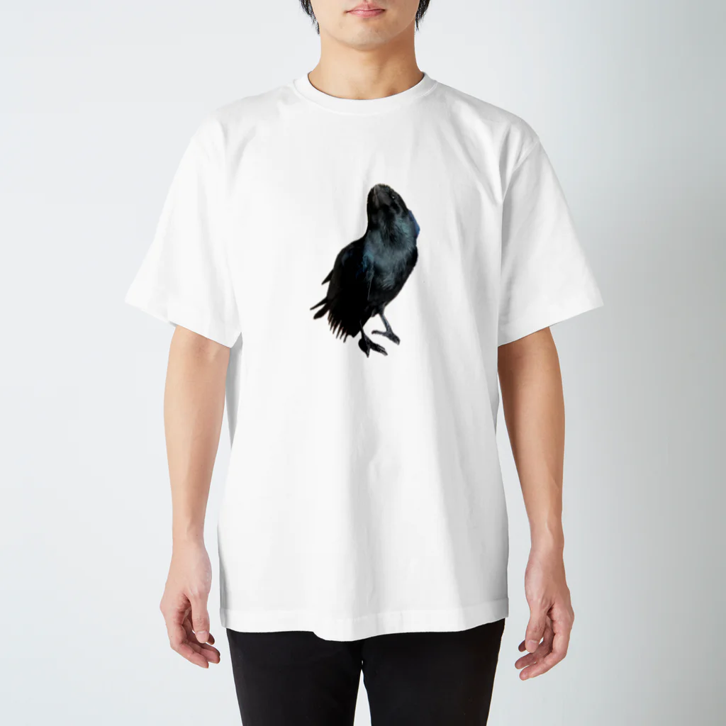 karasunikkiののどモコモコでかわいいカラスのハッピー Regular Fit T-Shirt