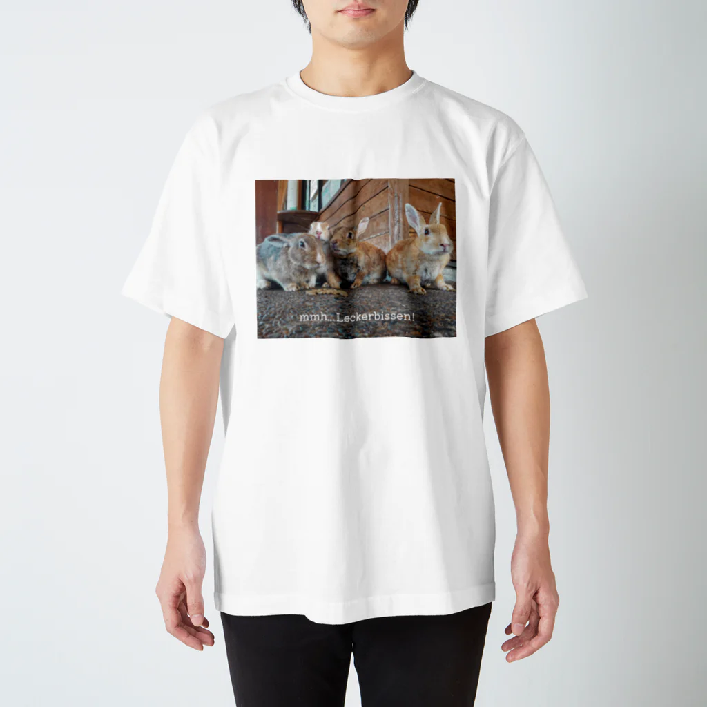 HILLsのうさぎの住む島 スタンダードTシャツ