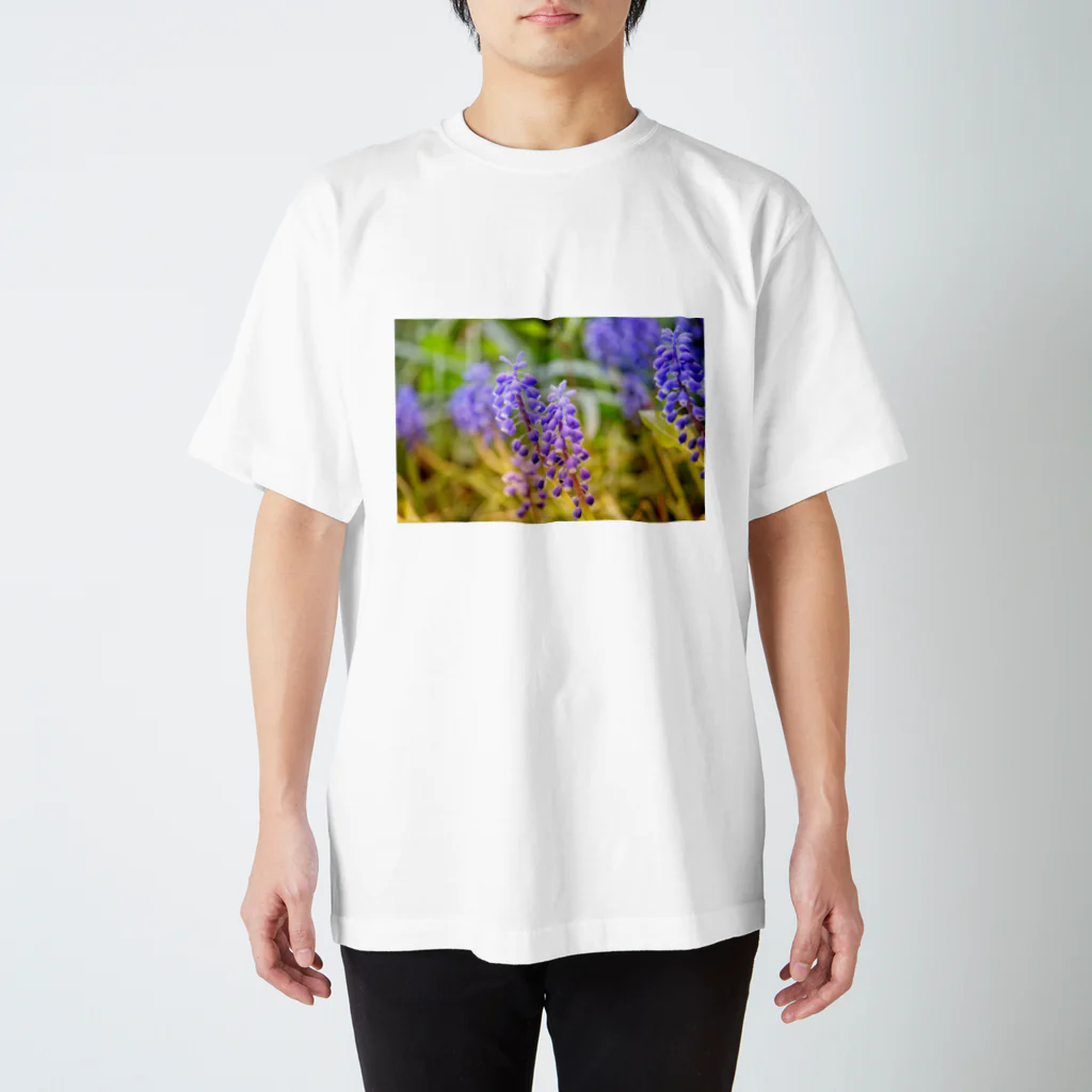 気まぐれ雪だるまのお花の写真 Regular Fit T-Shirt