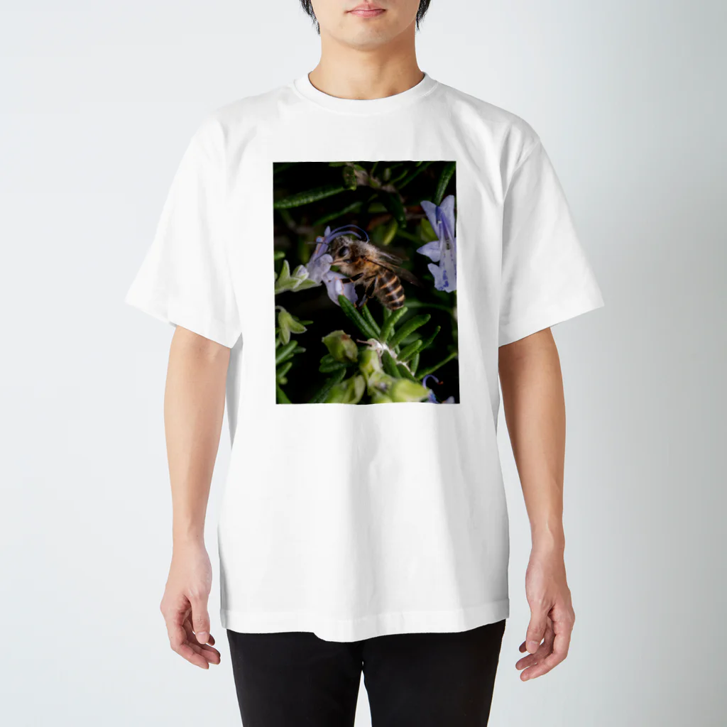 ふよだすの花を吸うミツバチ スタンダードTシャツ