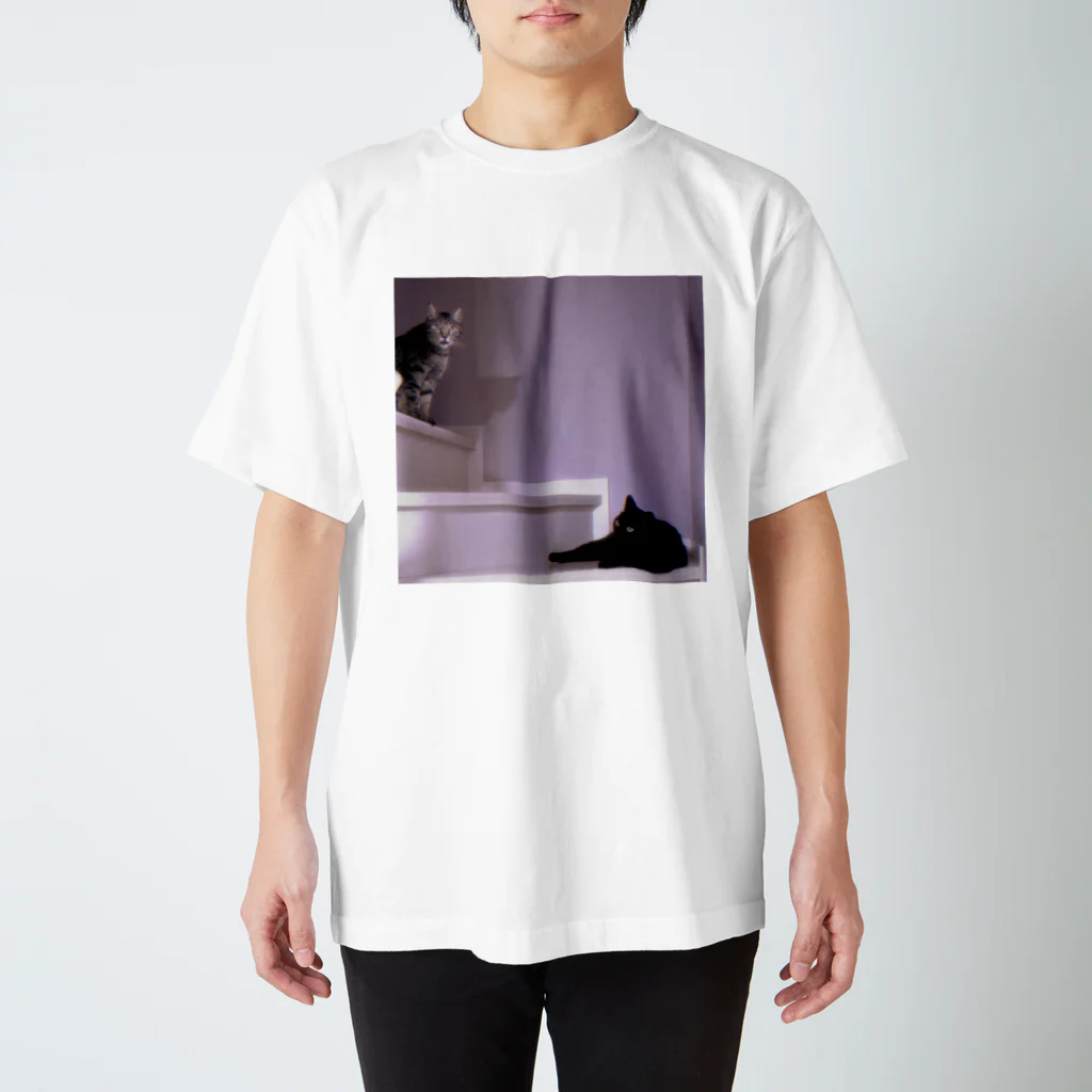 dishの階段の猫 Regular Fit T-Shirt